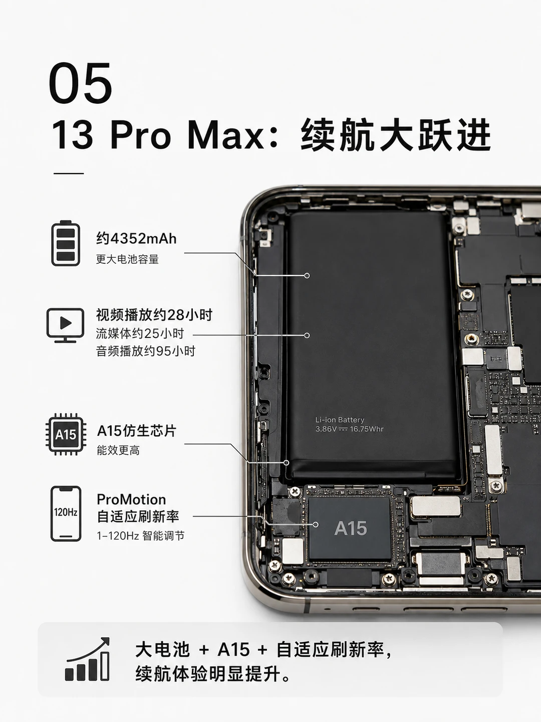 小红书图片