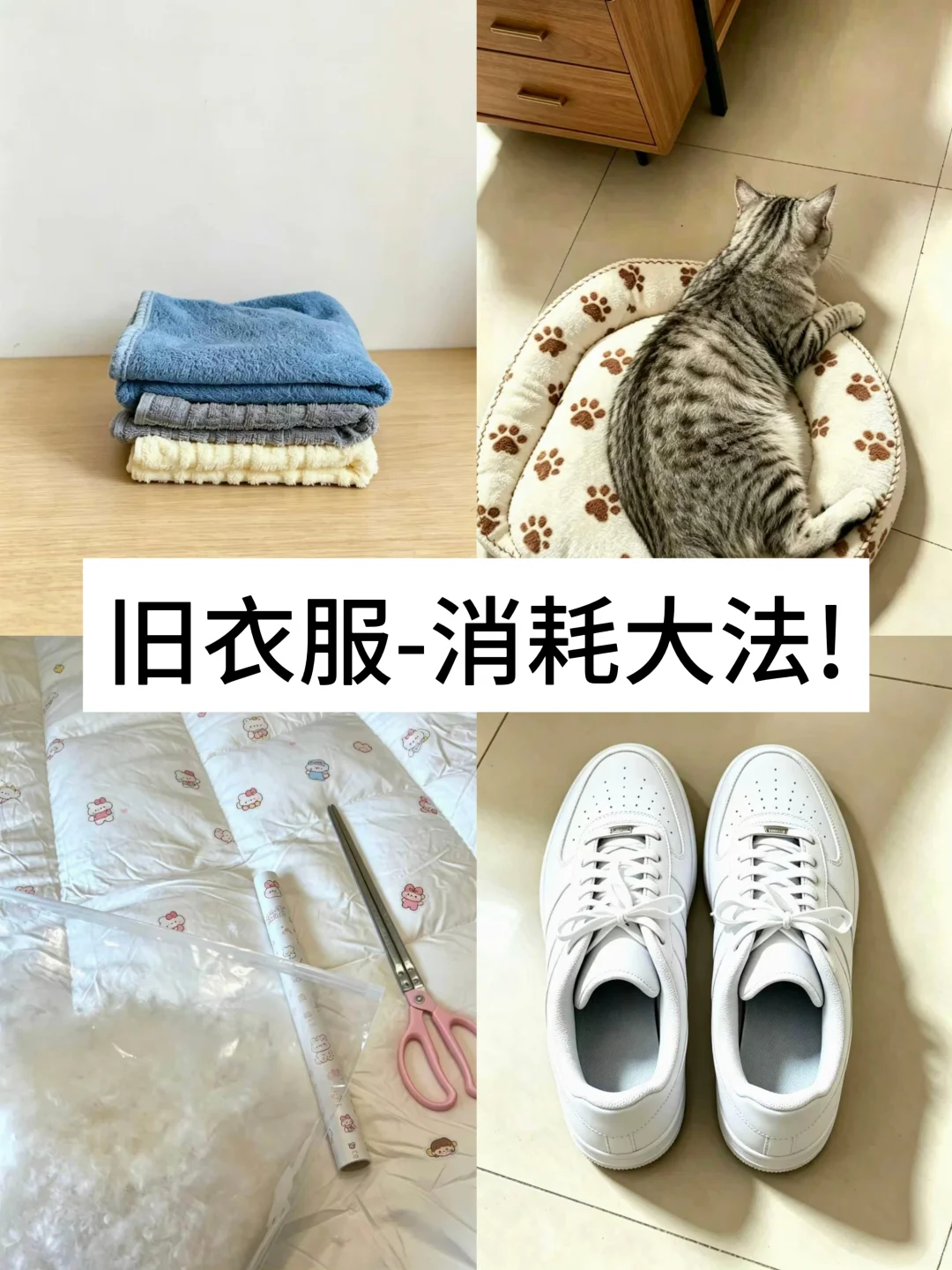 小红书图片
