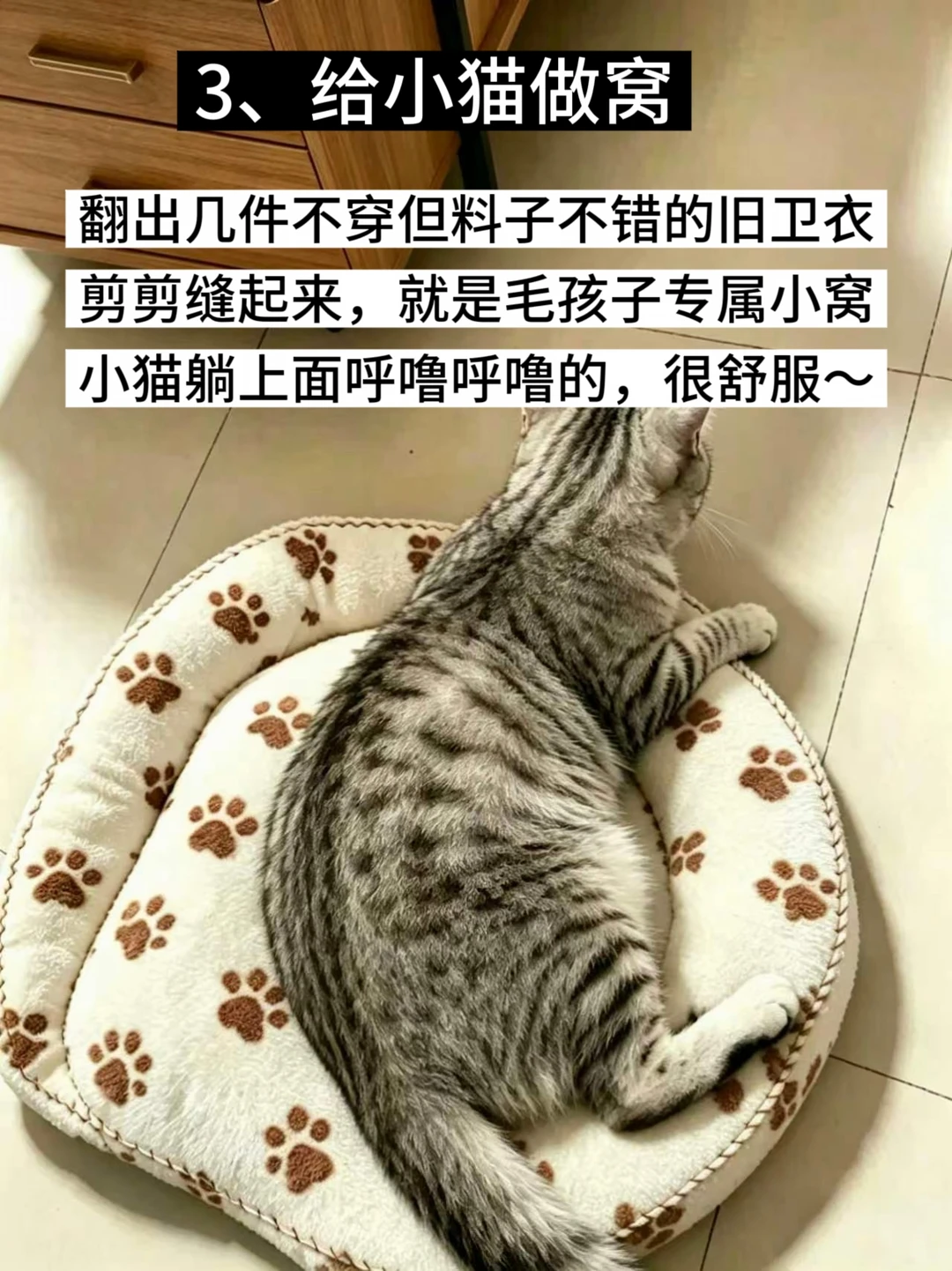 小红书图片