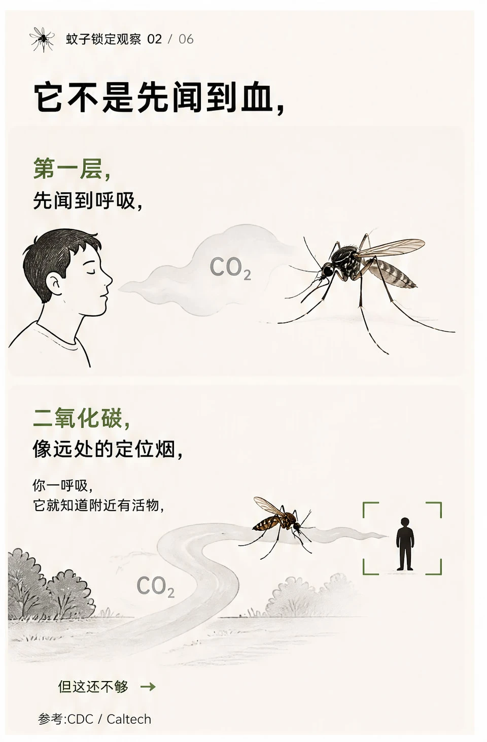 小红书图片