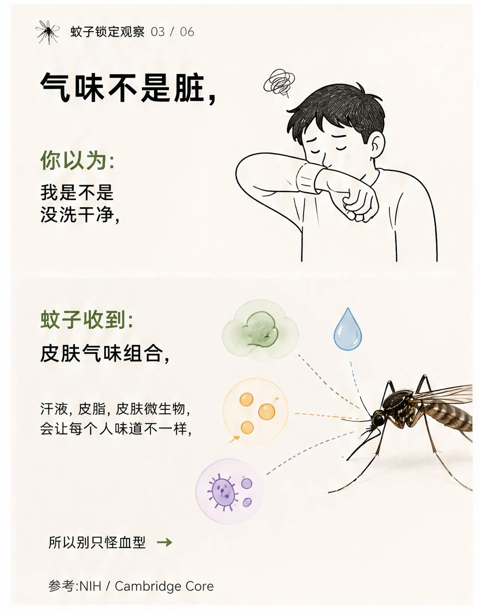 小红书图片